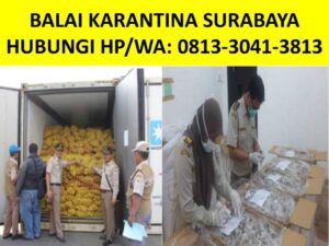 Jasa Fumigasi Phytosanitary Surabaya