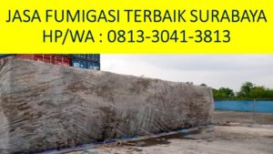 Jasa Fumigasi Terbaik Di Surabaya