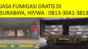 Jasa Fumigasi Surabaya Gratis