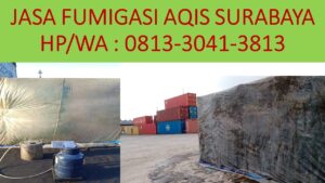 Jasa Fumigasi Aqis Surabaya
