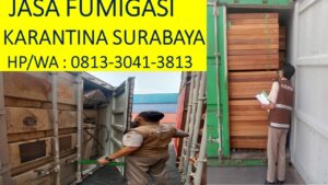 Jasa Pembasmi Hama Sidoarjo