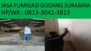 Jasa Fumigasi Perawatan Gudang Surabaya 