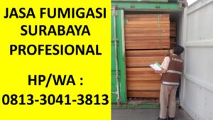 Jasa Fumigasi Surabaya Gayungan