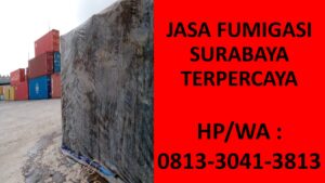 Jasa Fumigasi Surabaya Benowo