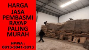 Jasa Pembasmi Hama Bondowoso