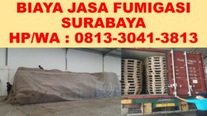 Jasa Fumigasi Surabaya Tenggilis Mejoyo