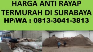 Jasa Pembasmi Hama Sampang